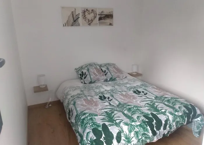 Vakantiehuis A Louer Maison A Chez Benoit Mimizan-Plage